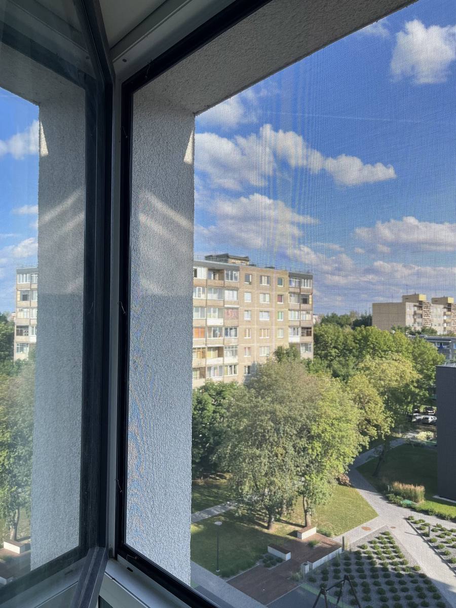 Tinkleliai rėmeliuose